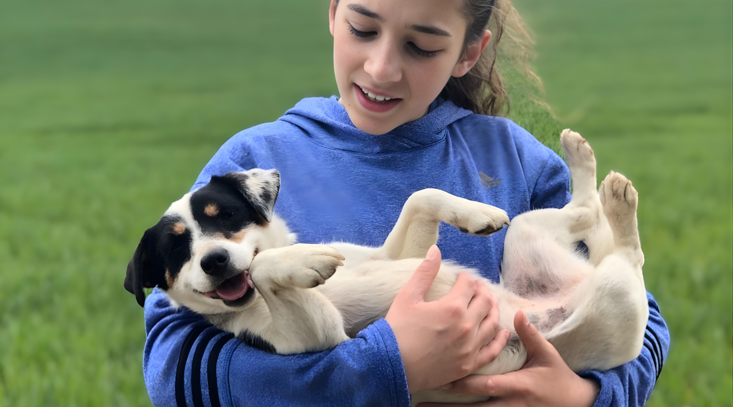 bonnie woof dog blog