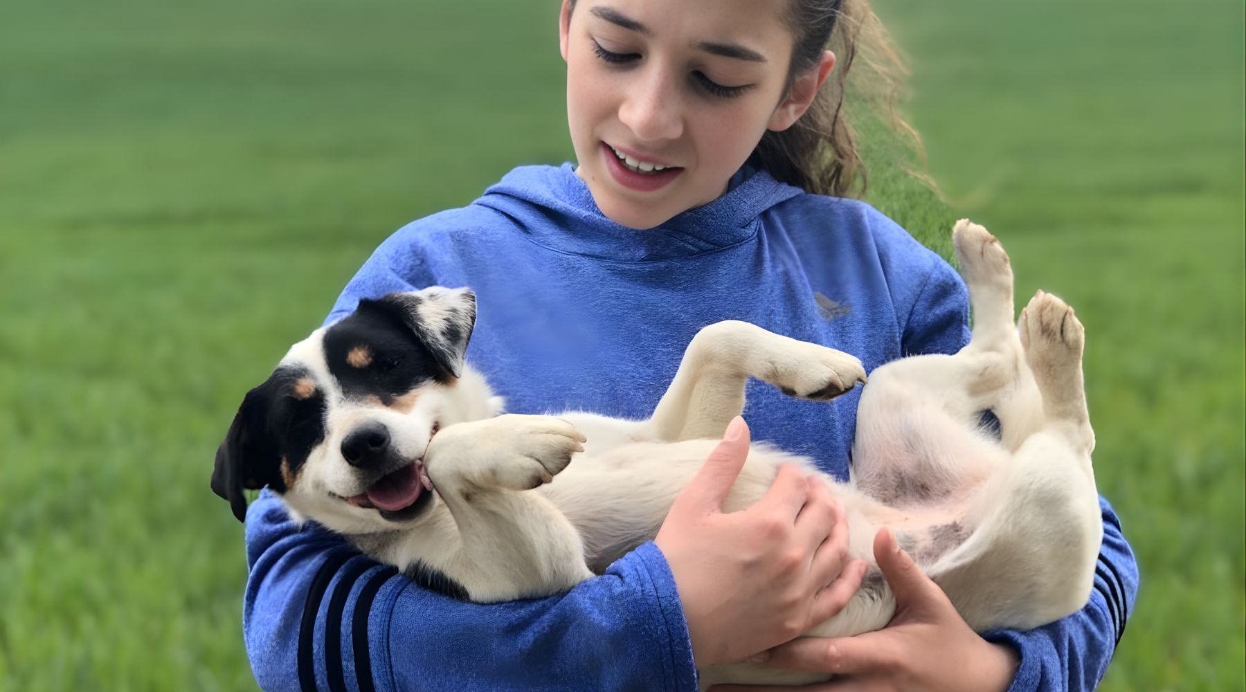 bonnie woof dog blog