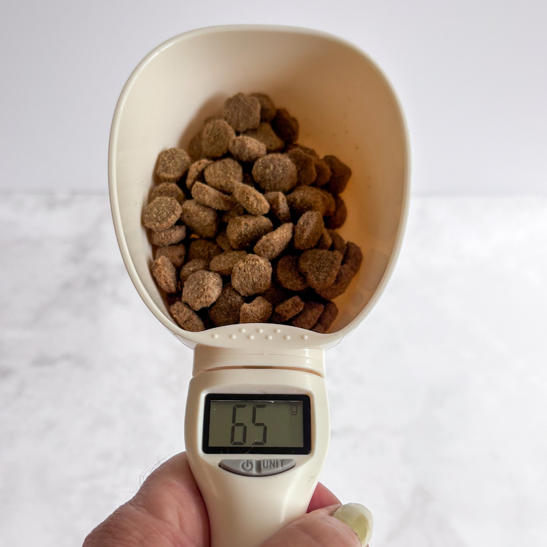 Digital Measuring Scoop