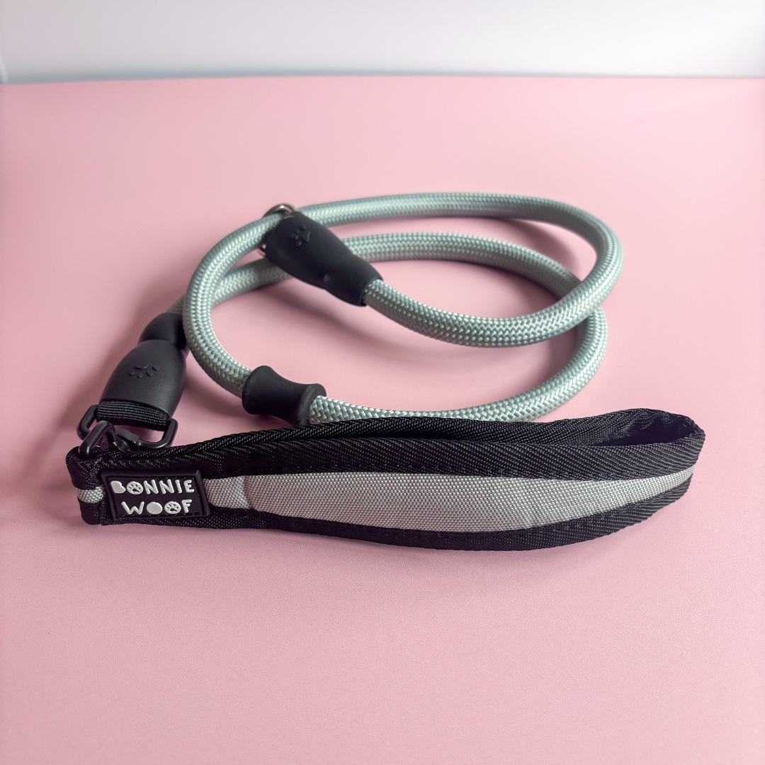 EasyWalk Slip Lead