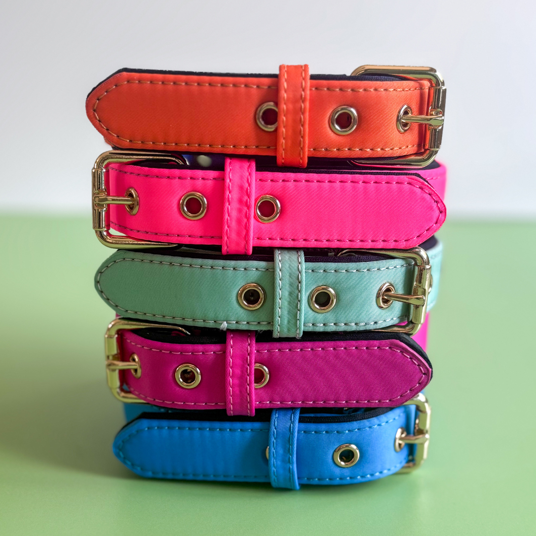 Waterproof Active Collar