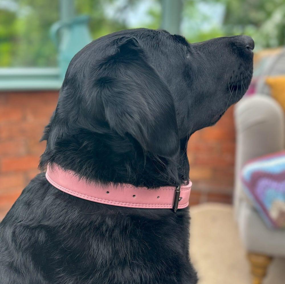 Bonnie Woof Leather Dog Collar