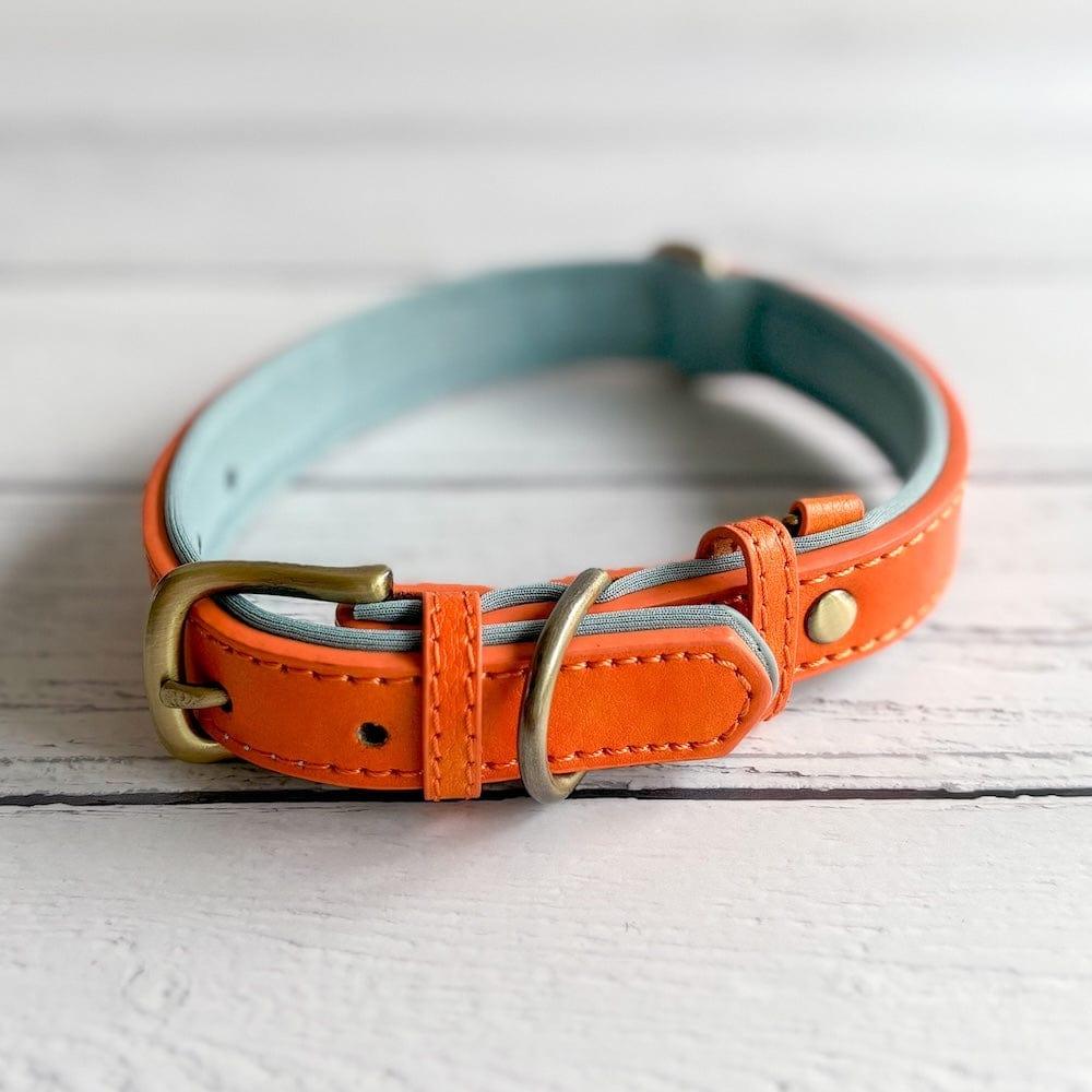 Bonnie Woof Padded Dog Collar