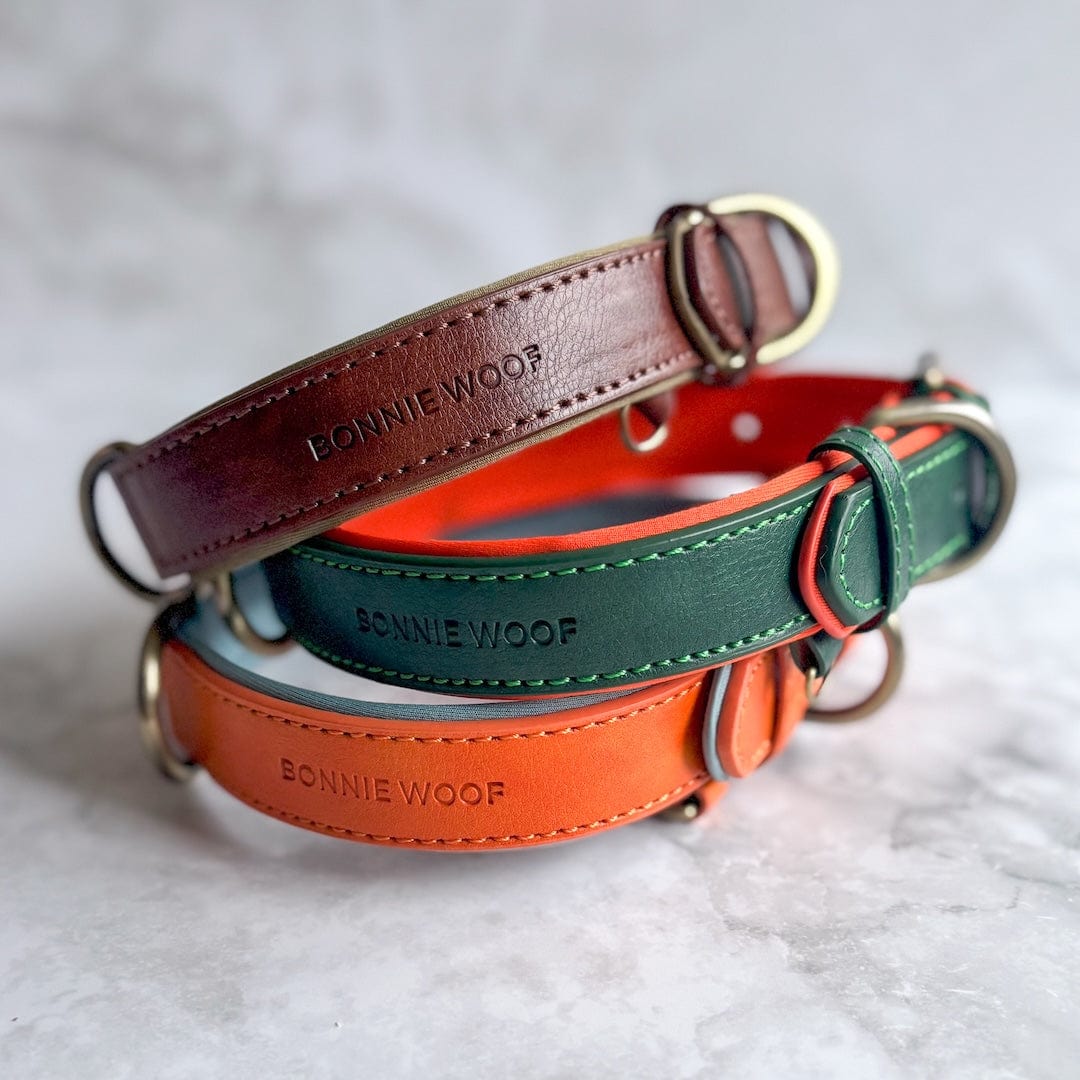 Bonnie Woof Padded Dog Collar