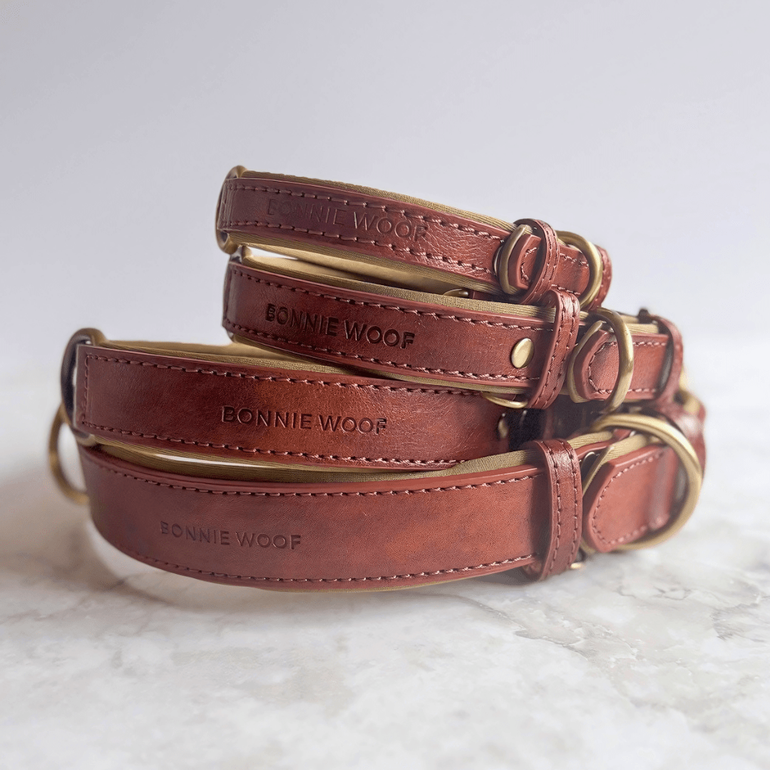 Bonnie Woof Brown / S (24-31cm) Padded Dog Collar