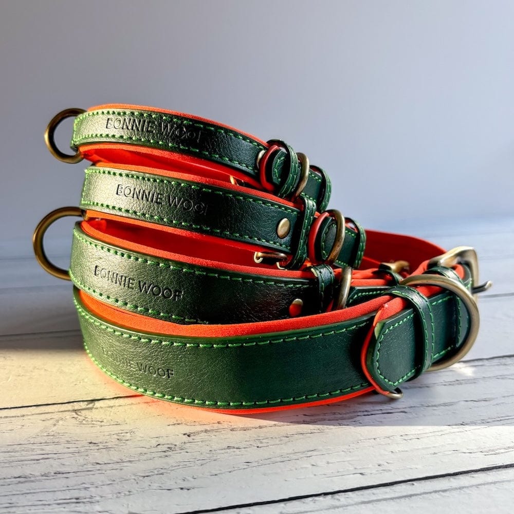 Bonnie Woof Green / S (24-31cm) Padded Dog Collar