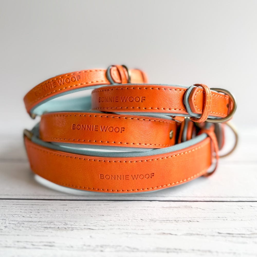 Bonnie Woof Orange / S (24-31cm) Padded Dog Collar