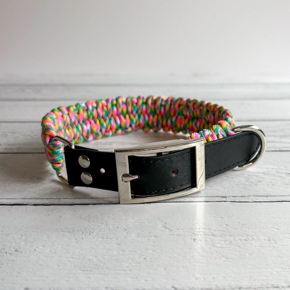 Bonnie Woof Paracord Dog Collar