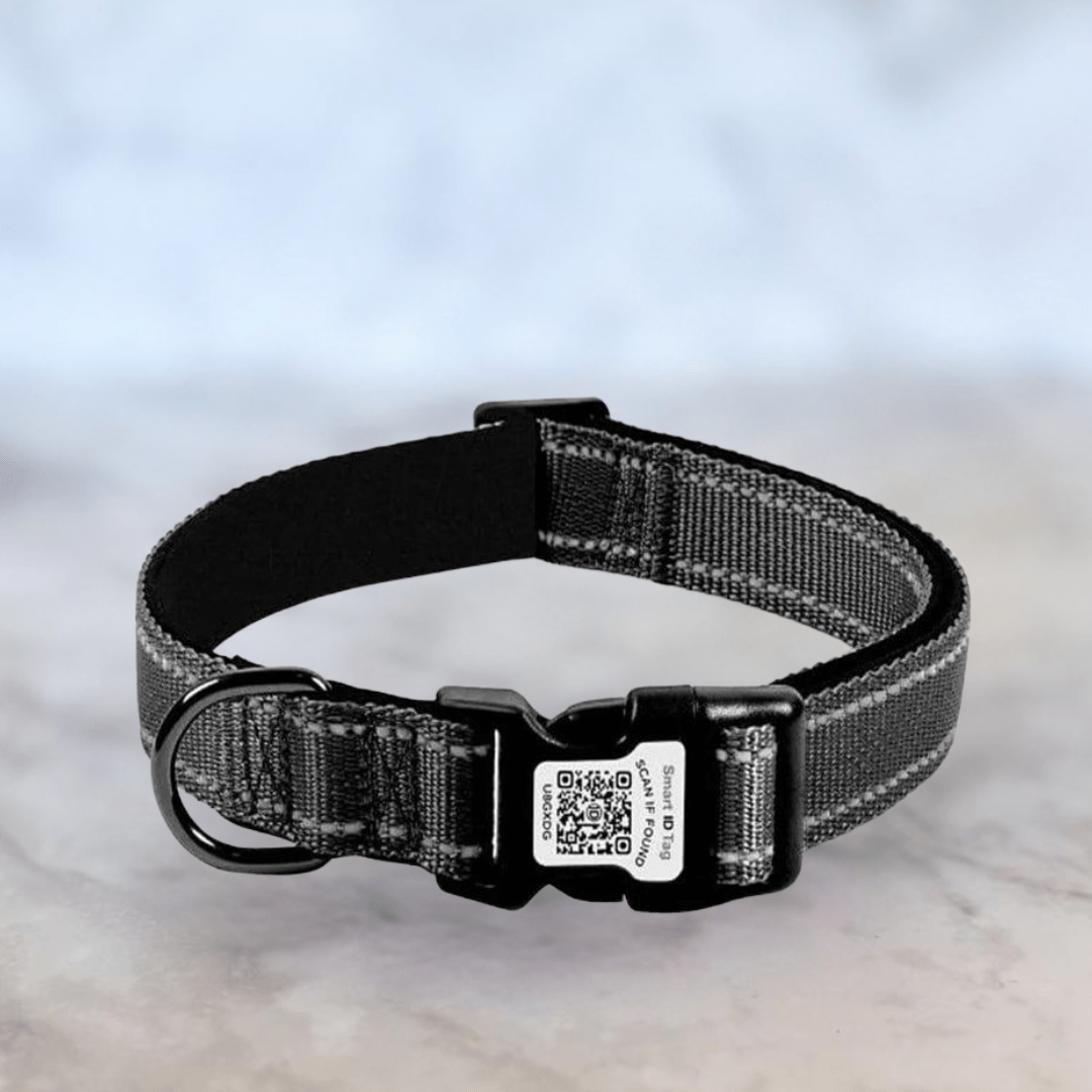 Bonnie Woof Black / S (25-40cm) QR Code Dog Collar