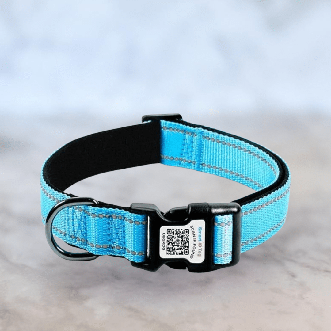 Bonnie Woof Blue / S (25-40cm) QR Code Dog Collar