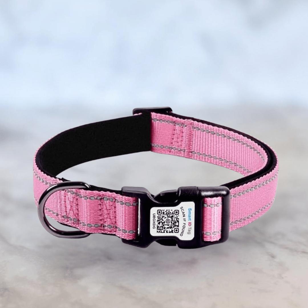 Bonnie Woof Pink / S (25-40cm) QR Code Dog Collar