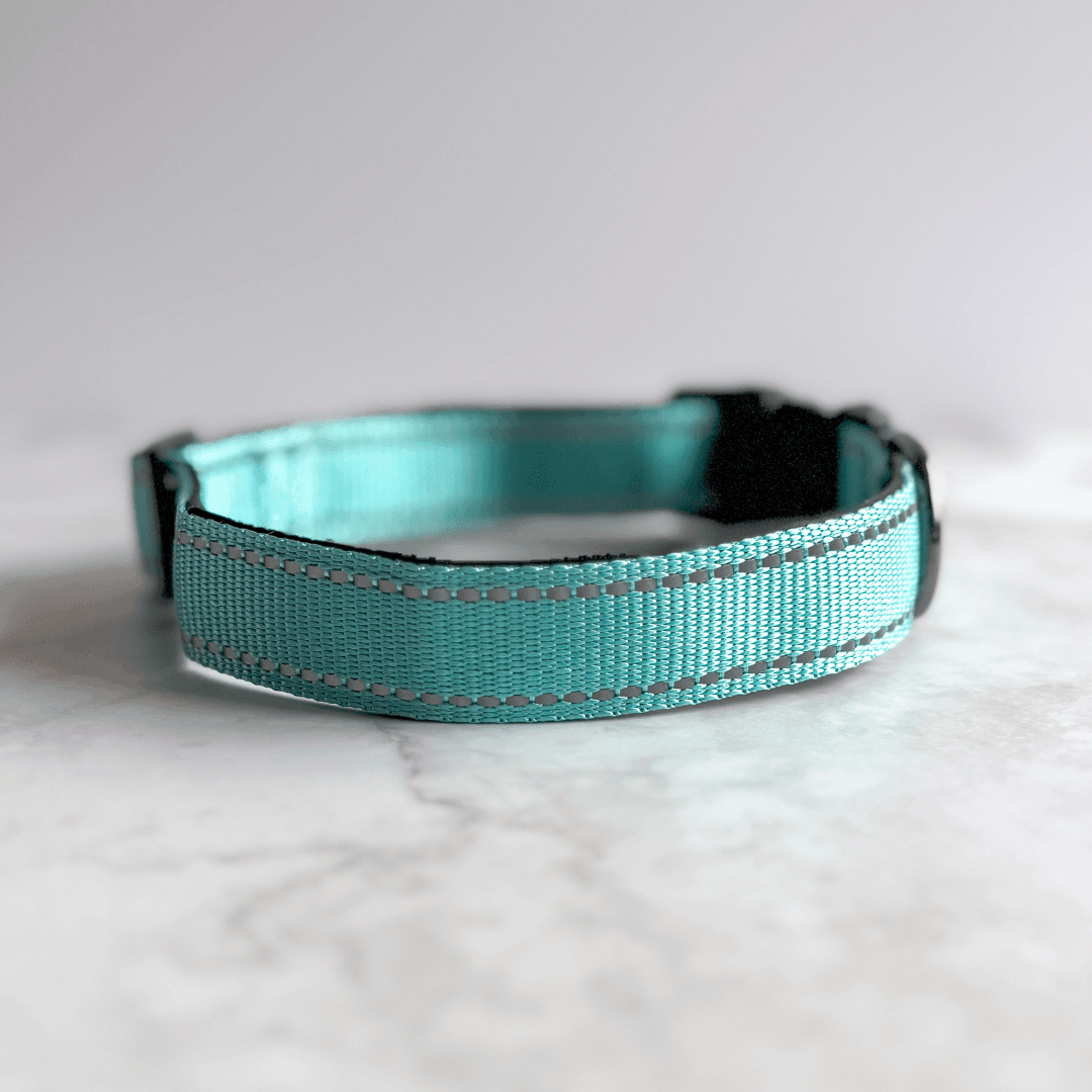 Bonnie Woof QR Code Dog Collar