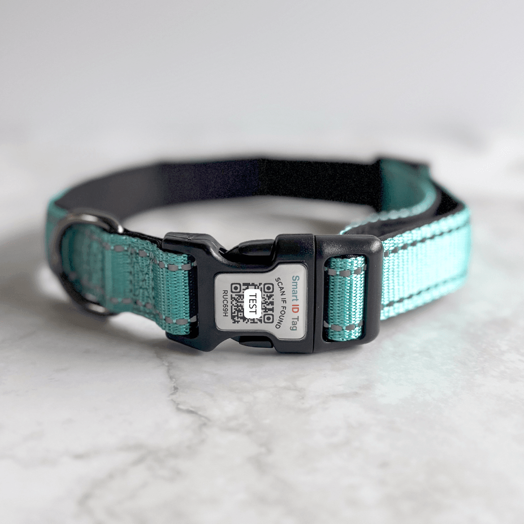 Bonnie Woof Green / S (25-40cm) QR Code Dog Collar