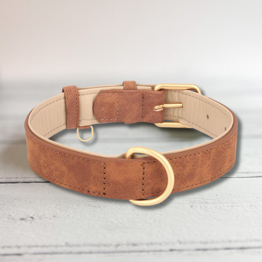 Soft Touch Collar