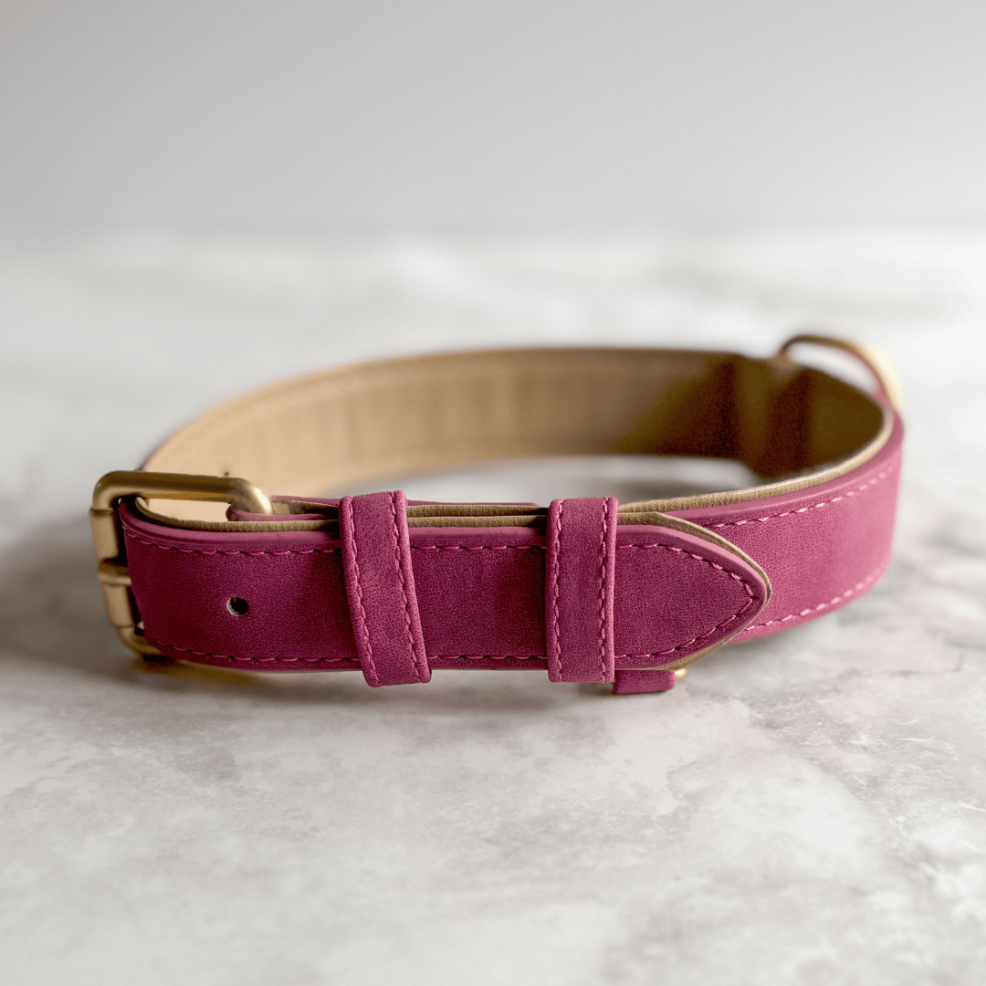 Bonnie Woof Pink / S (25-33cm) Soft Touch Collar