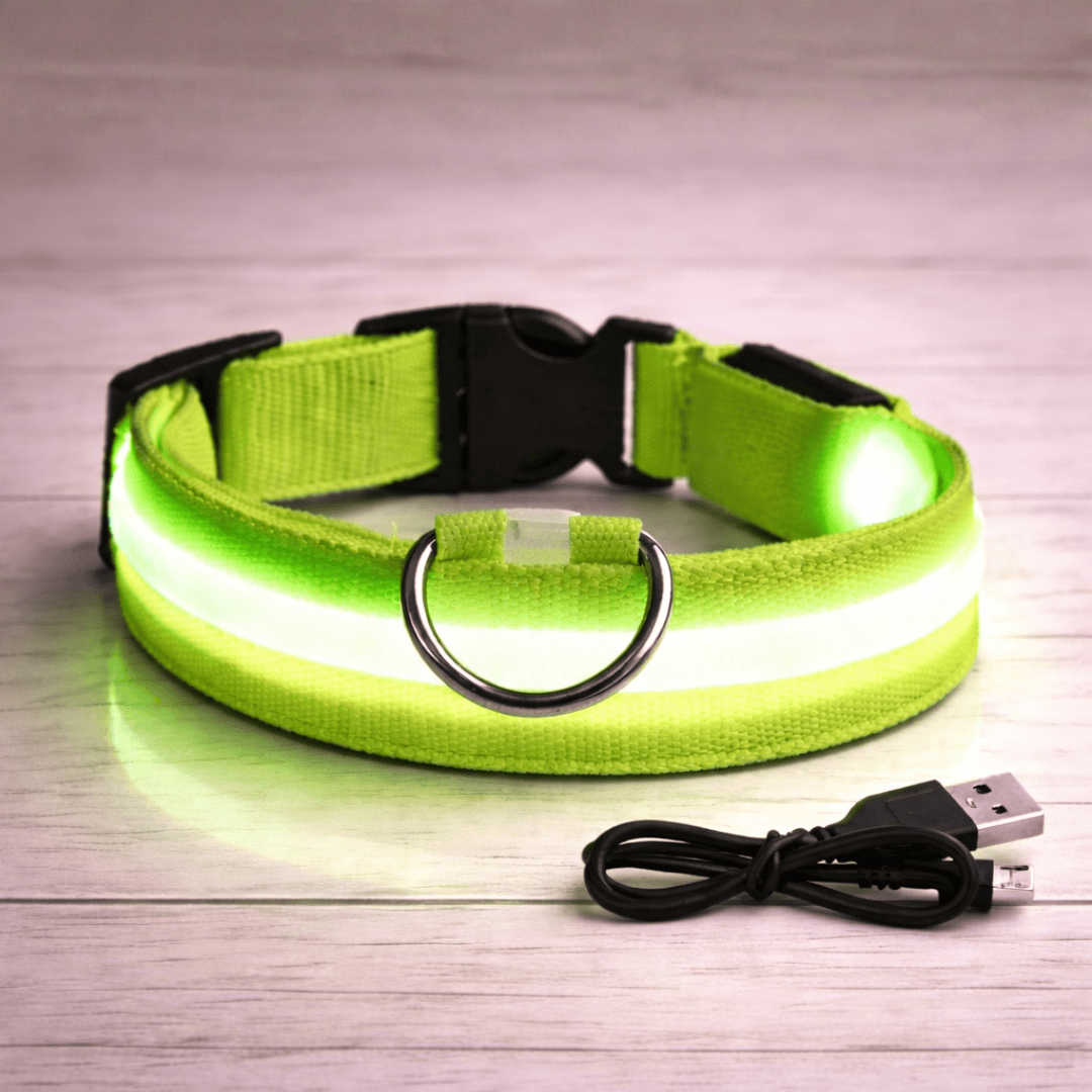 Bonnie Woof Stay Seen Collar