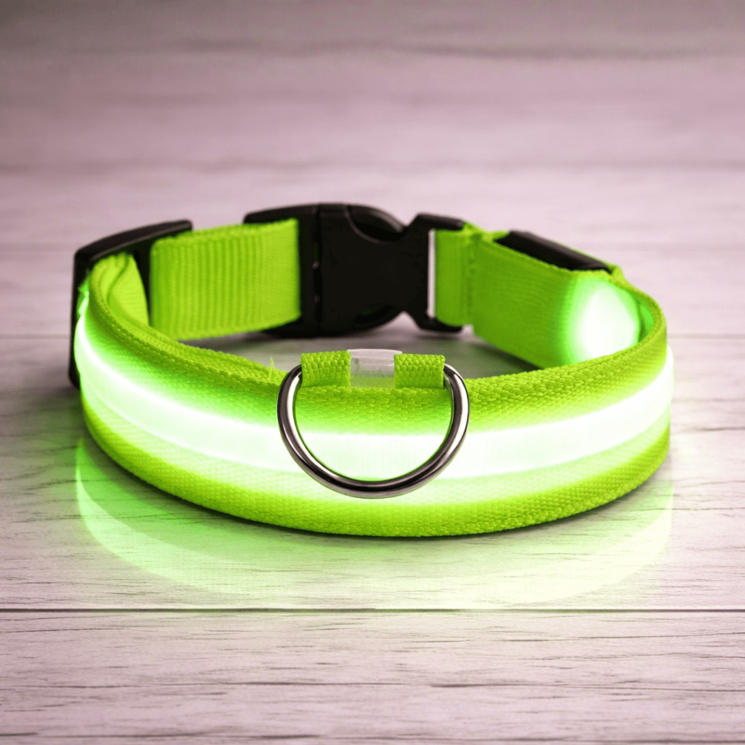 Bonnie Woof Stay Seen Collar