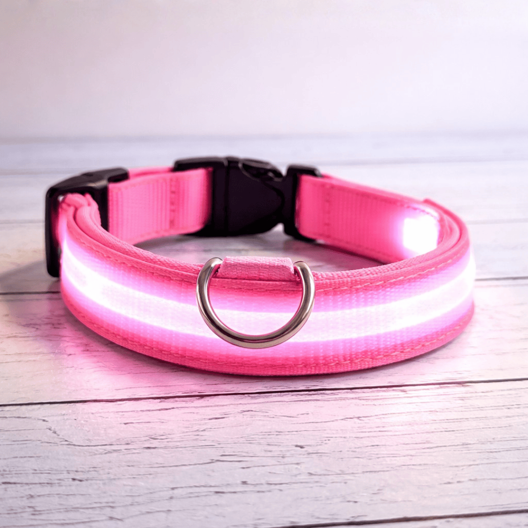 Bonnie Woof Stay Seen Collar