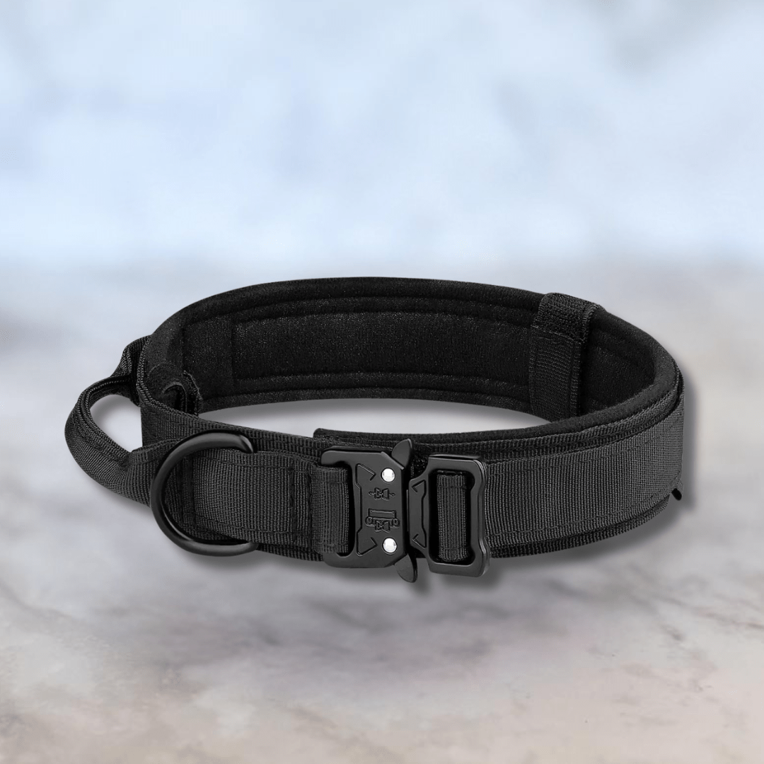 Bonnie Woof Black / M (36-48cm) Tactical Dog Collar