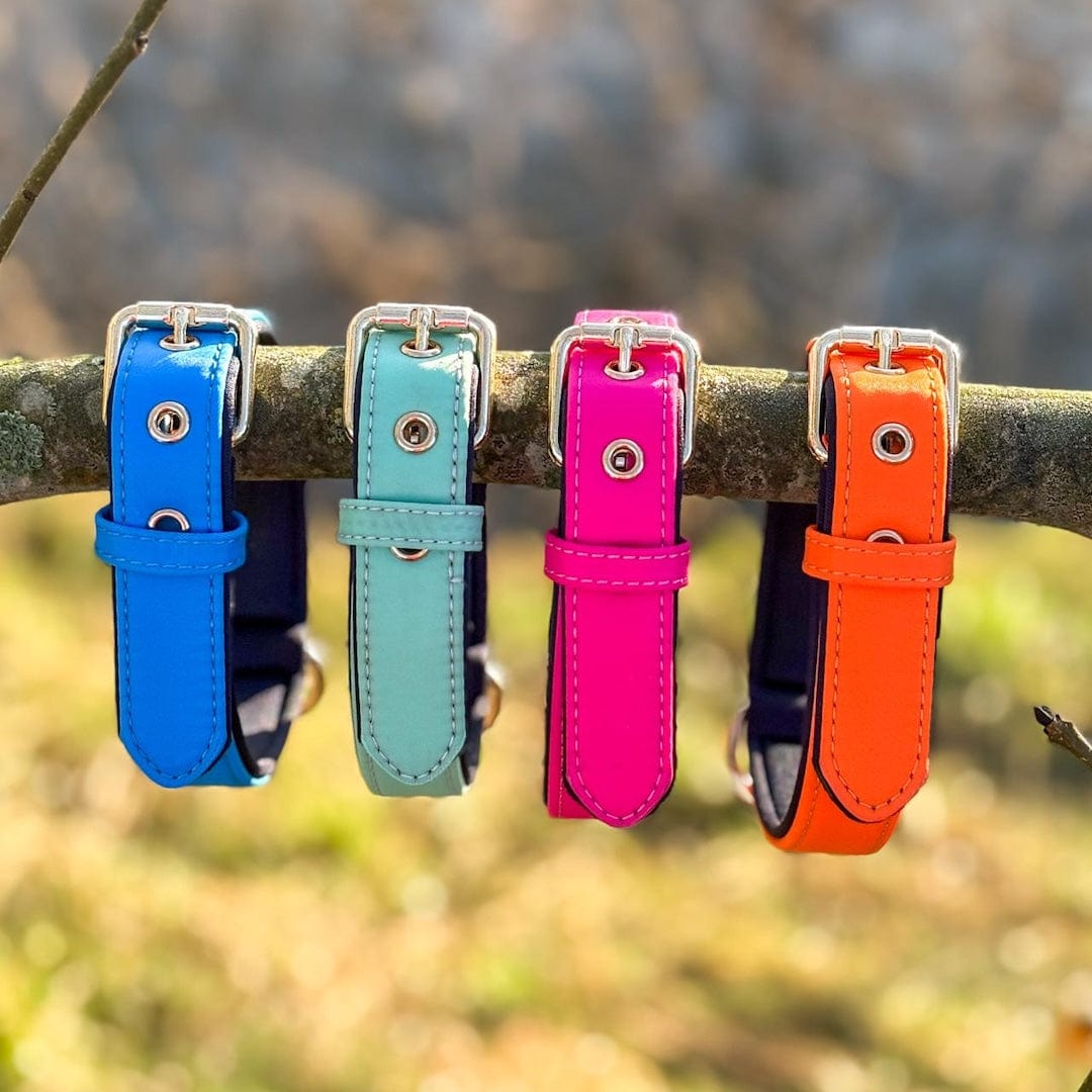 Bonnie Woof Waterproof Dog Collar