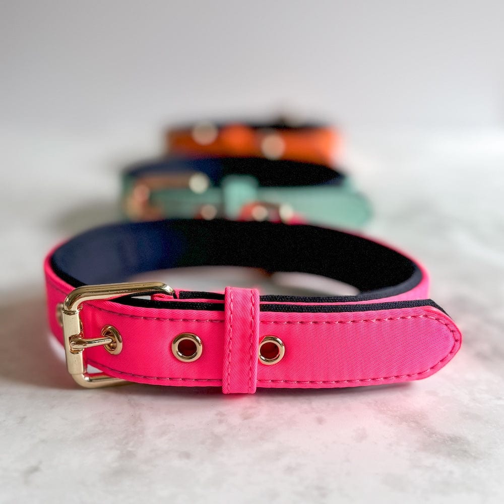 Bonnie Woof Waterproof Dog Collar
