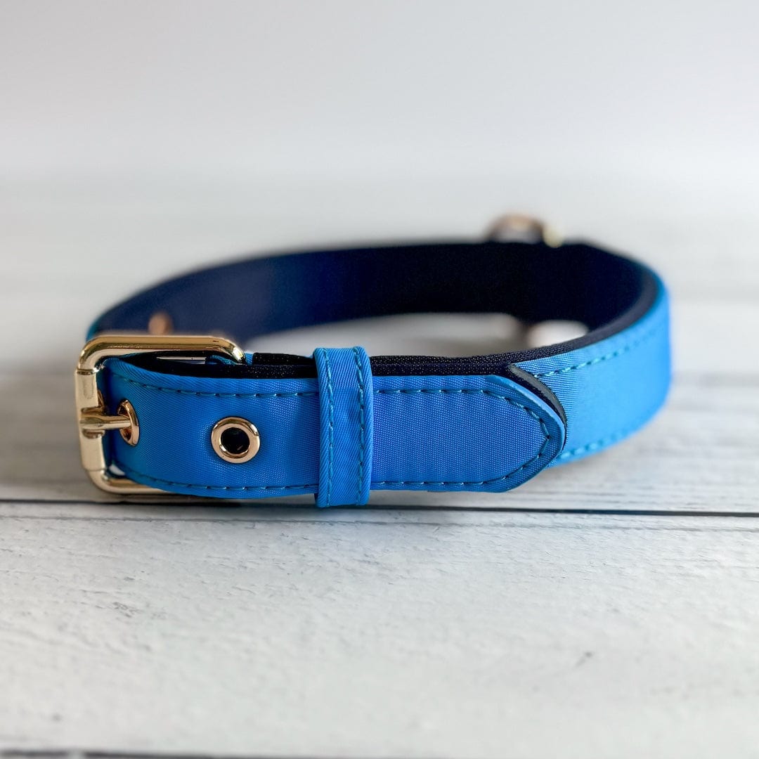 Bonnie Woof Blue / S (25-33cm) Waterproof Dog Collar