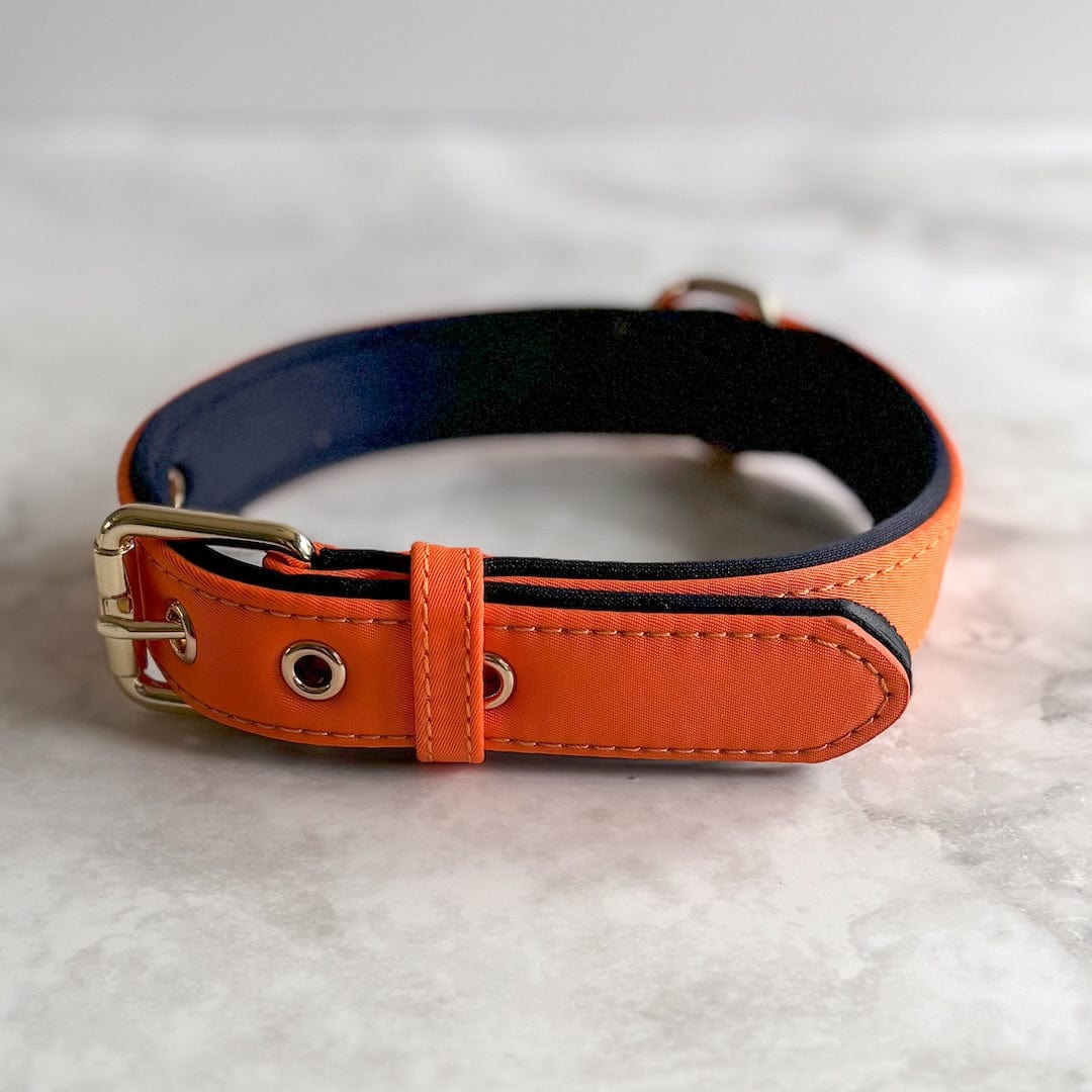 Bonnie Woof Orange / S (25-33cm) Waterproof Dog Collar