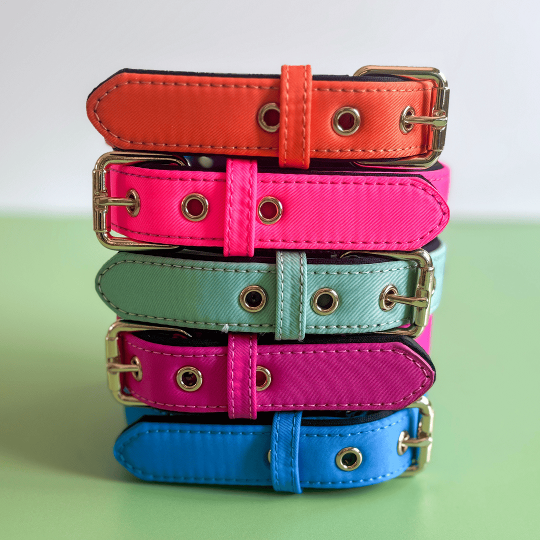 Bonnie Woof Waterproof Active Collar