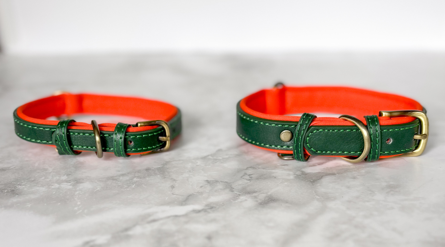How to Measure Your Dog for a Collar: A Simple Sizing Guide