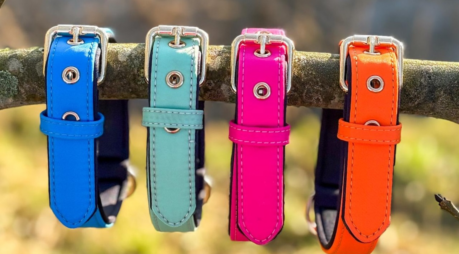 Three Things To Consider When Buying A Dog Collar