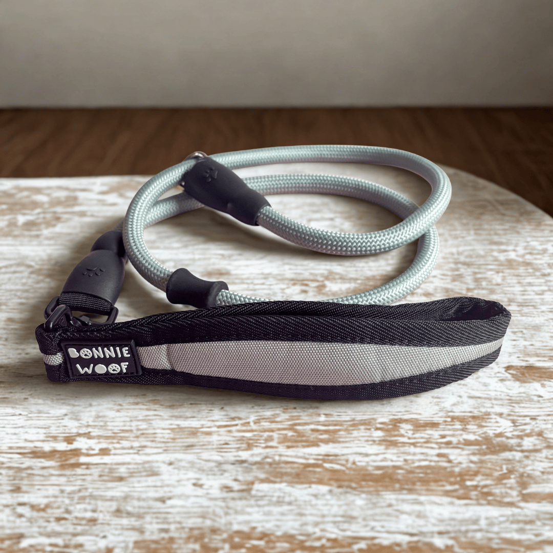 Bonnie Woof Grey/Green / 120cm EasyWalk Slip Lead