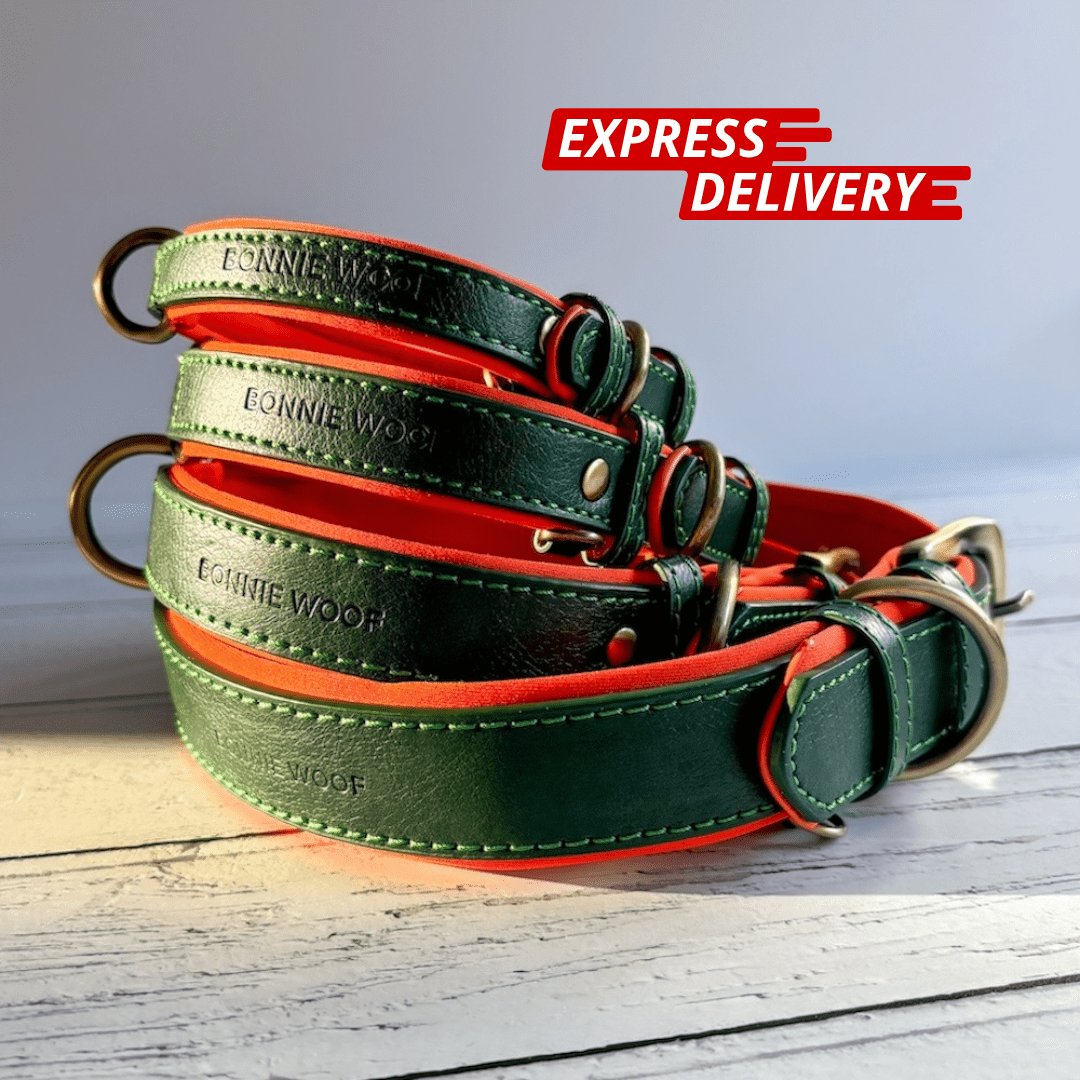 bonnie-woof-padded-dog-collar-green