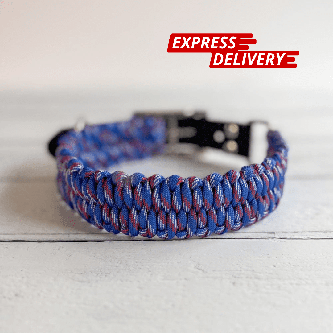 Paracord Dog Collar