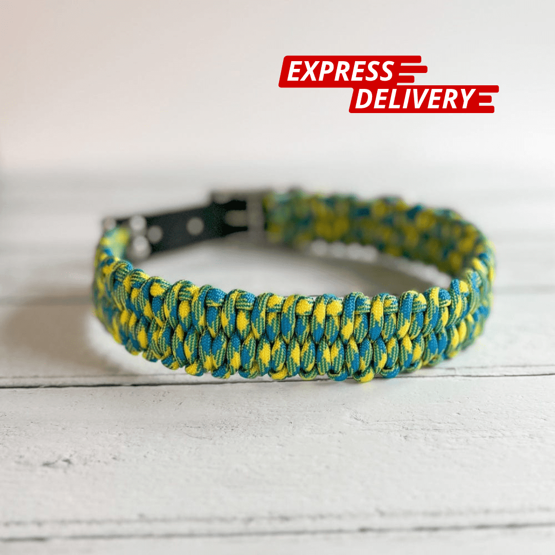 Paracord Dog Collar