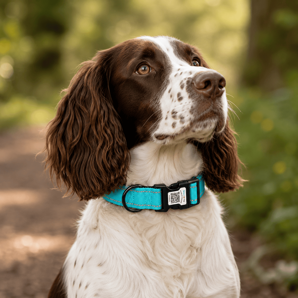 Bonnie Woof Smart ID Collar