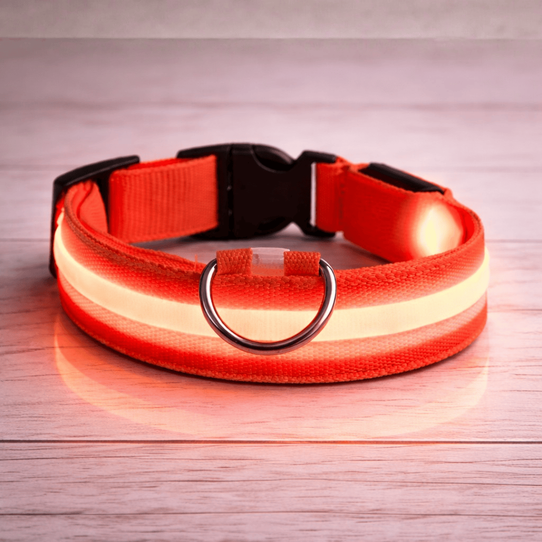 Bonnie Woof Stay Seen Collar