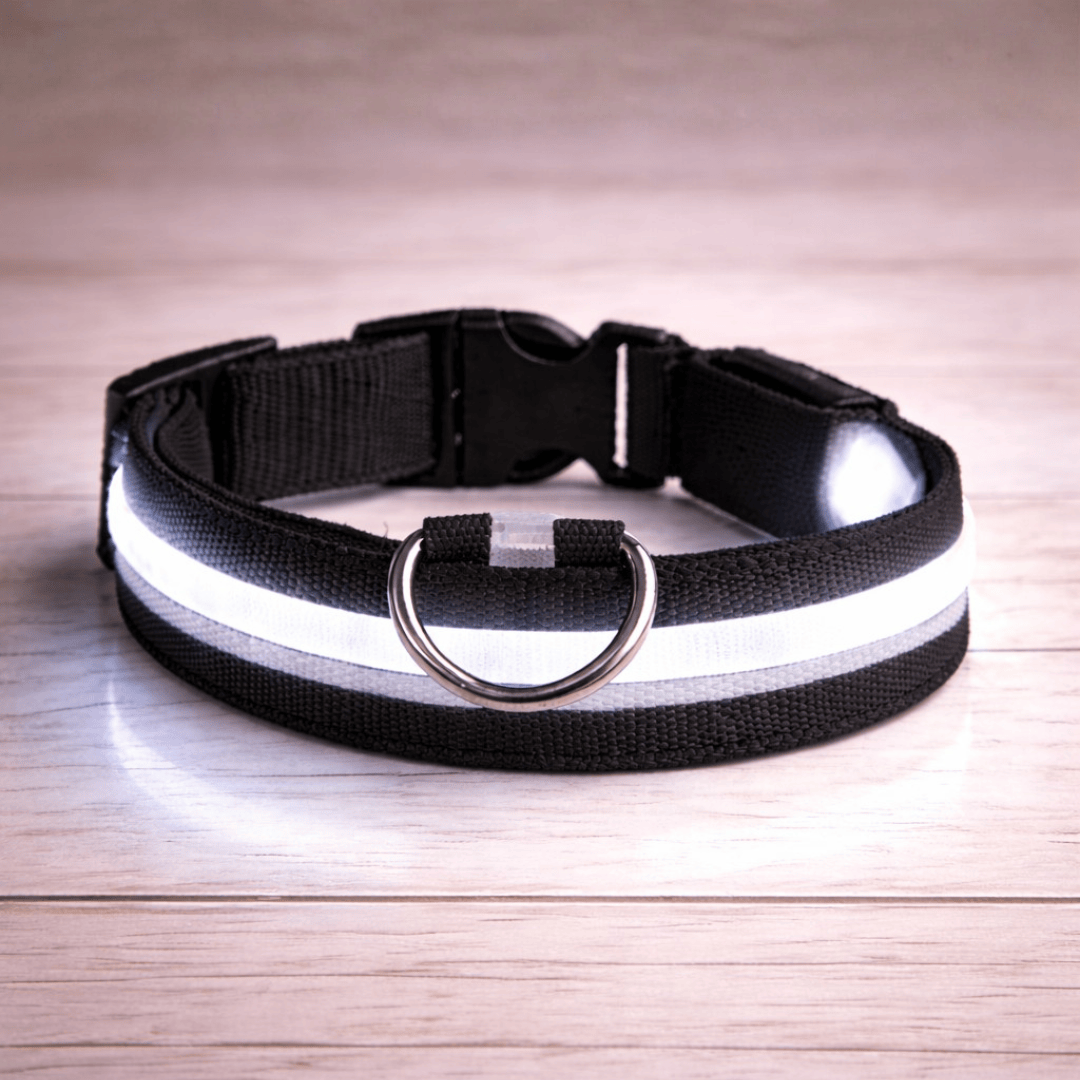 Bonnie Woof Stay Seen Collar