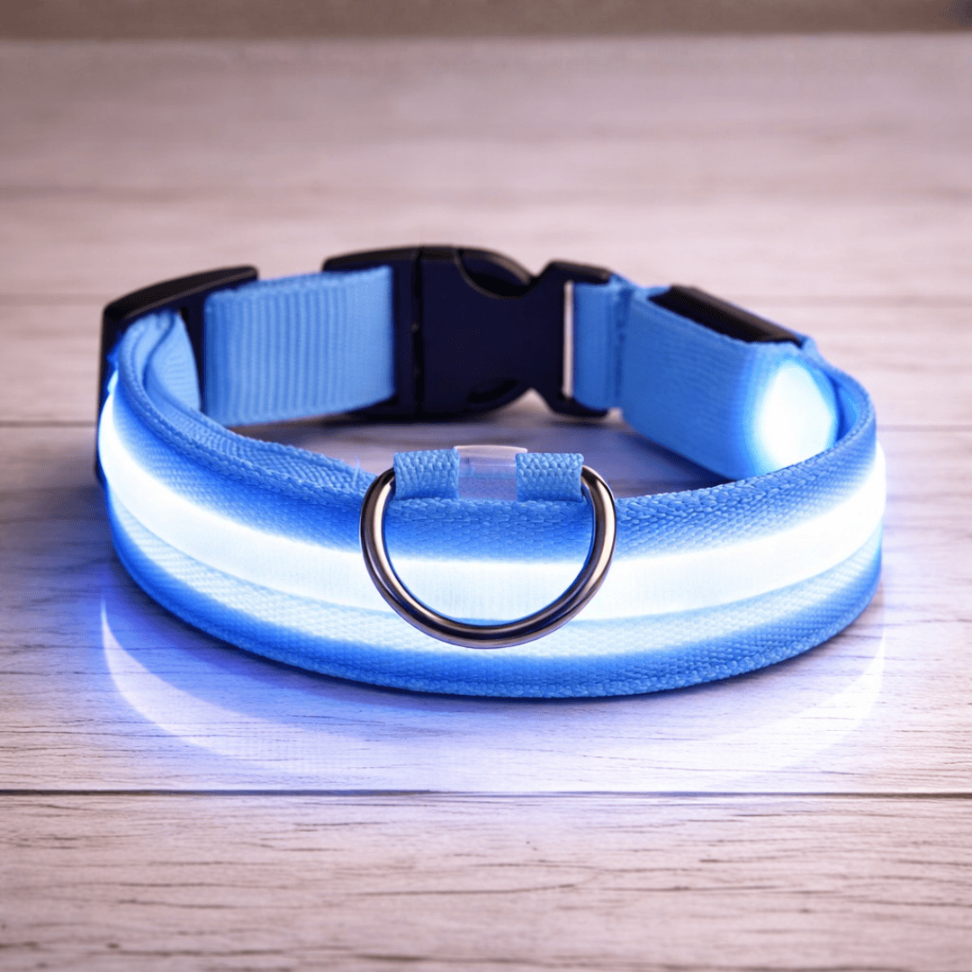 Bonnie Woof Stay Seen Collar