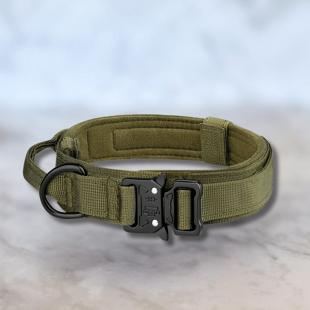 Bonnie Woof Green / M (36-48cm) Tactical Dog Collar