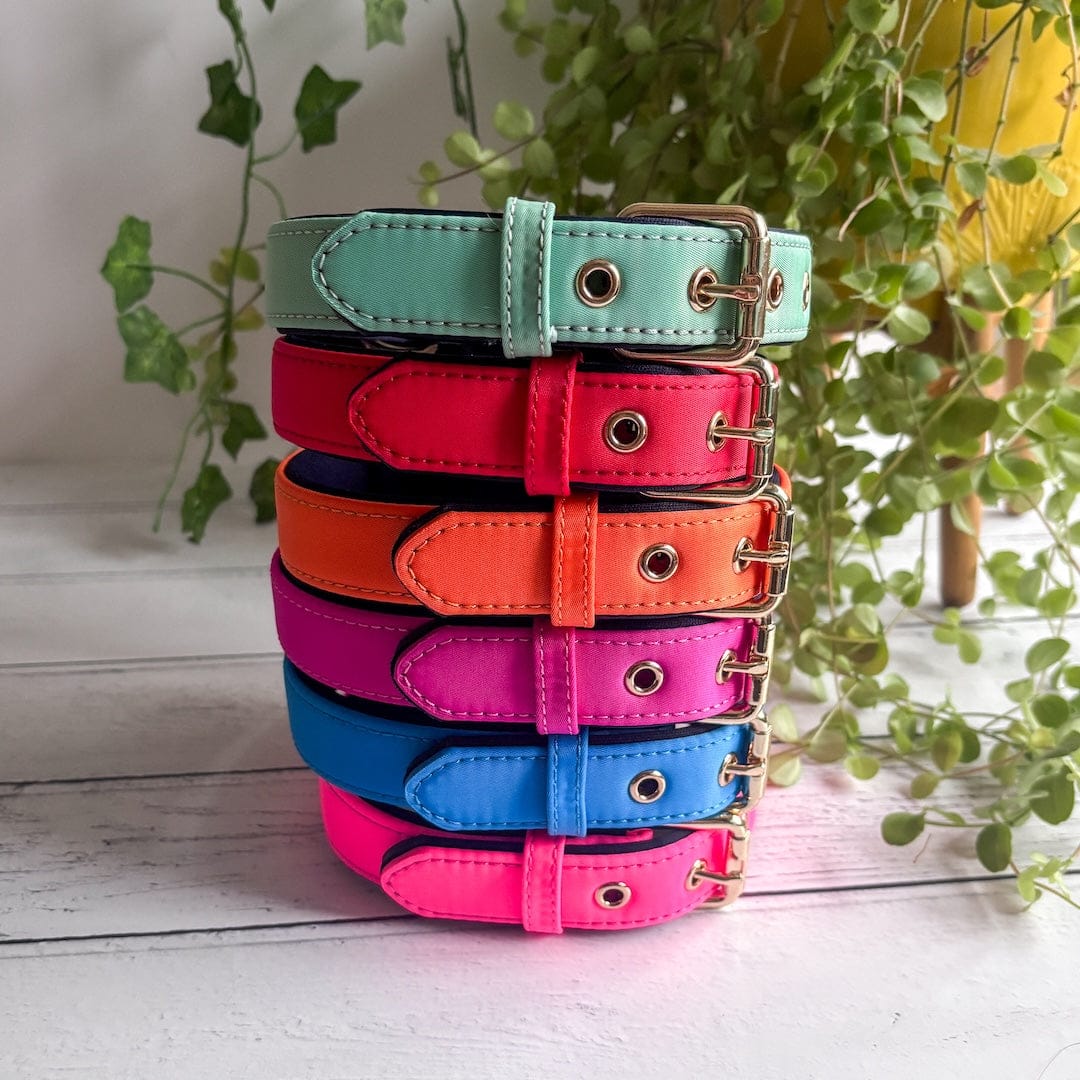 Bonnie Woof Waterproof Active Collar