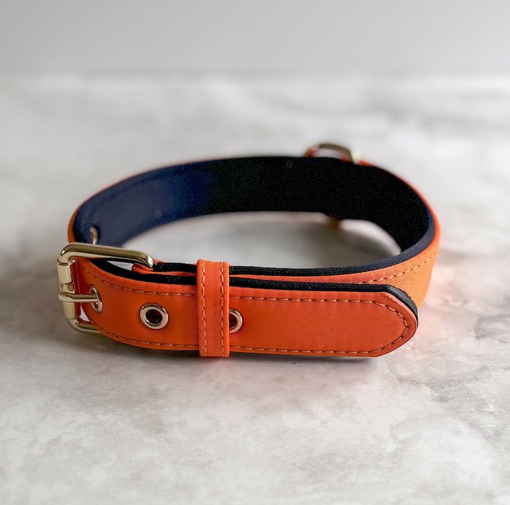 Bonnie Woof Orange / S Waterproof Dog Collar