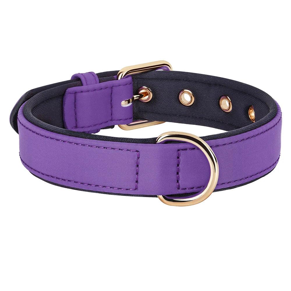 Bonnie Woof Purple / S Waterproof Dog Collar