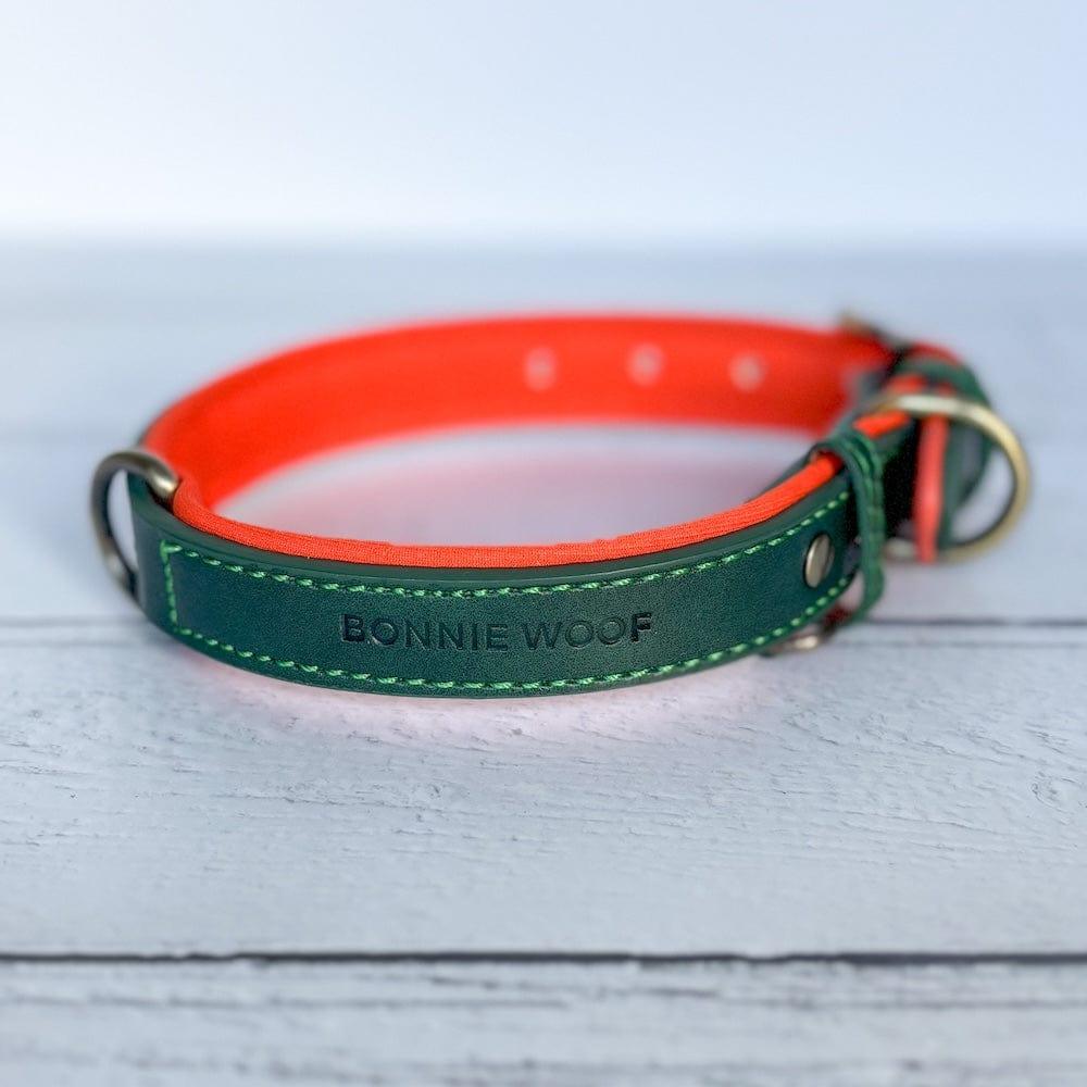 premium padded dog collar